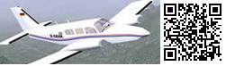 plane in flight